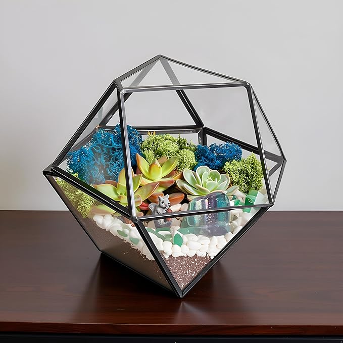 Creations by Nathalie DIY 7" Geometric Terrarium Kit with Live Plants - Build Your Own Glass Terrarium for Adults & Kids with Moss, Crystals, Tools & Decor - Mini Ecosystem - Handcrafted in The USA
