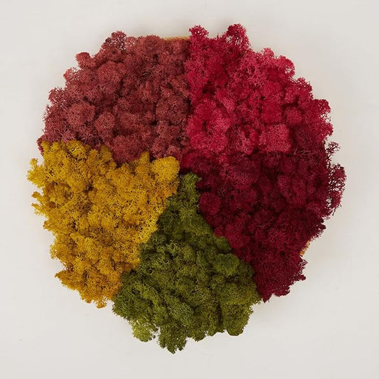 prefleur Preserved Reindeer Moss Natural Green DIY Kit Gardenning Art Wall Decor Florist Decor Easter Table Decor Wedding