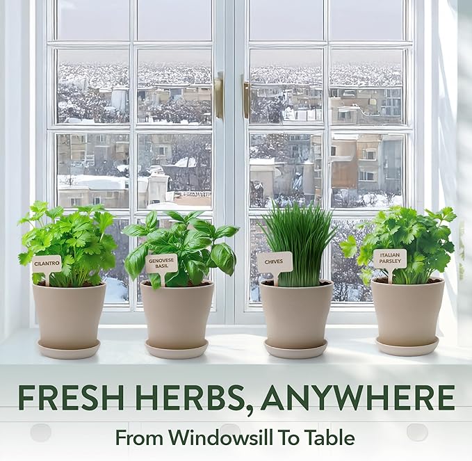 HOME GROWN Herb Garden Planter Indoor Kit – Unique Christmas Gift for Adults, Men, & Women - Grow 4 Heirloom Herb Seeds on Kitchen Window – Beginner DIY Craft & Hobby Gardening Gift for Plant Lovers