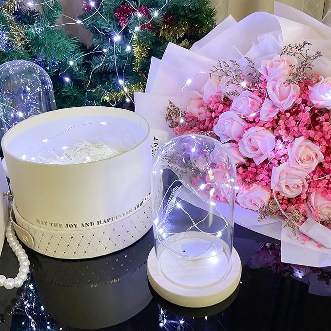 10 Pack Fairy Lights Battery Operated String Lights, 10 LED on 3.3ft Silvery Copper Wire，for Flowers Gift Box Wedding Party Christmas Decoration (10 Pack, Cool White)