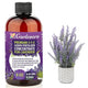 Premium Liquid Lavender Plant Fertilizer - 3-1-2 Concentrate for Indoor Plants and Flowers by Gardenera | Organic Plant Food for Lavenders - 8oz