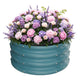ZXZYHFTY Round Raised Garden Bed Set, 1 Pack, 2 x 2 x 1 Ft, Blue