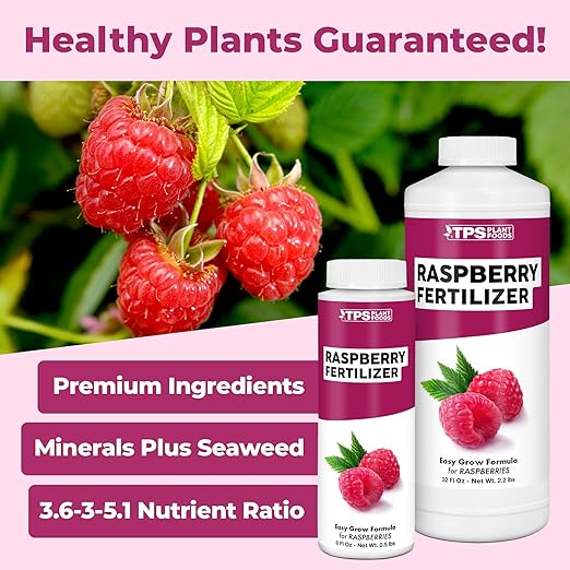 Raspberry Fertilizer for Raspberry Plants, Supports Healthy Growth and Plump Berries in Raspberry Plants, Liquid Fertilizer by TPS Plant Foods, 32 oz (1 Quart)