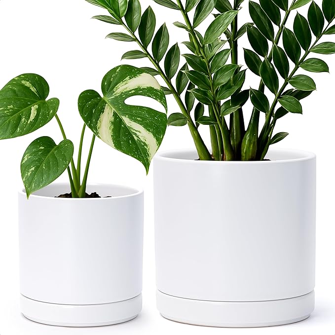 D'vine Dev 6.5 Inch & 8.2 Inch Ceramic Planter Pots for Plants with Drainage Hole and Saucer, Medium Plant Pots Set, White, 94-G-M-1