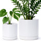 D'vine Dev 6.5 Inch & 8.2 Inch Ceramic Planter Pots for Plants with Drainage Hole and Saucer, Medium Plant Pots Set, White, 94-G-M-1