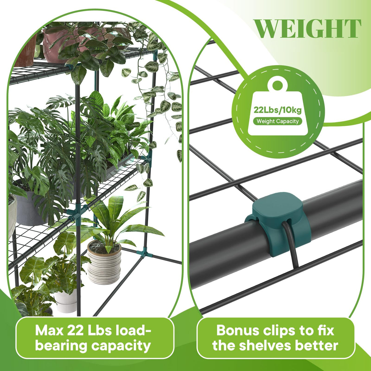 Sweetcrispy 56"x56"x77" Outdoor Greenhouse, with 2 Tier 8 Plant Shelves