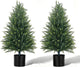 EverNature 3FT Artificial Topiary Cedar Trees, 2Pack Realistic Faux Cypress Plants with Pot, Fake Bushes Pine Tree for Outdoor Front Porch Garden Indoor Christmas Home Decor