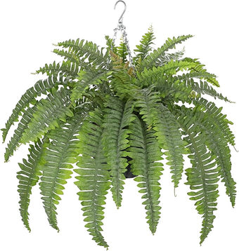 Hollyone 33" Artificial Boston Fern Hanging Basket Large 39 Leaves Fake Ferns in Rattan Pot Greenery Plants for Outdoors & Indoor Faux Fern Bush Basket Plant Patio Garden Home Decor Dusty Green