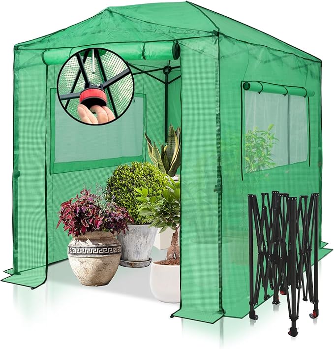EAGLE PEAK Instant Pop-up Greenhouse, Indoor Outdoor Plant Gardening Green House, Roll-Up Zipper Doors and Side Windows, Walk in 8x6 ft, PE Cover, Green/Clear