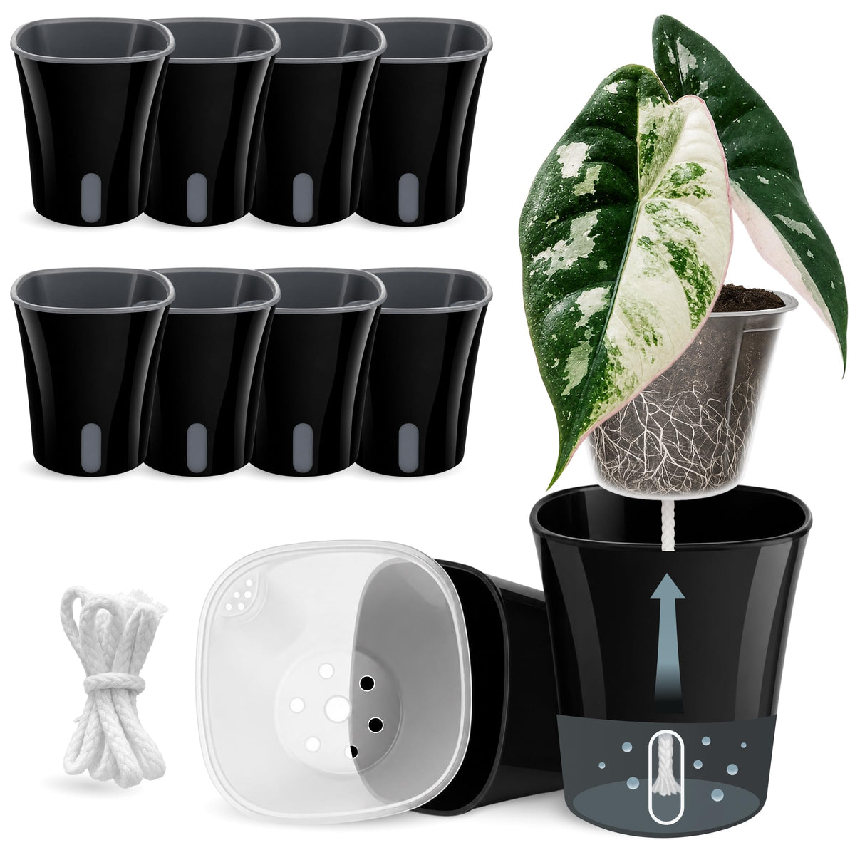 Vandorelle 10 Pack 3" Self Watering Pots for Indoor Plants, Clear Inner Cup, Small Black Plastic Planters, Water Level Indicator, Drainage Holes, Extra 3ft Wick, Cuttings,Seedlings,Herb,African Violet