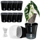 Vandorelle 10 Pack 3" Self Watering Pots for Indoor Plants, Clear Inner Cup, Small Black Plastic Planters, Water Level Indicator, Drainage Holes, Extra 3ft Wick, Cuttings,Seedlings,Herb,African Violet