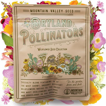 Wildflower Seeds - Drought-Tolerant Mix, 2 oz (80,000+ Seeds) – 20 Non-GMO Varieties – Dryland Wildflower Blend for Pollinators and Low-Water Gardens