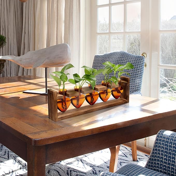 Plant Terrarium Hanging Propagation Stations Gift for Women Air Plants Holder with Wooden Stand Heart Glass