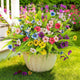 ATTGREAT Artificial Flowers Outdoors UV Resistant, 12 Bundle(Multicolor)