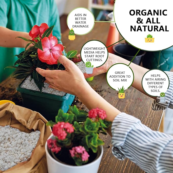 40QT Horticultural Perlite Bulk, Organic Perlite for Plants, Course Perlite for Gardening, for Plants Indoor, for Houseplants, to Promotes Soil Root Growth, and Water Drainage and Plant Growth(3-6mm)