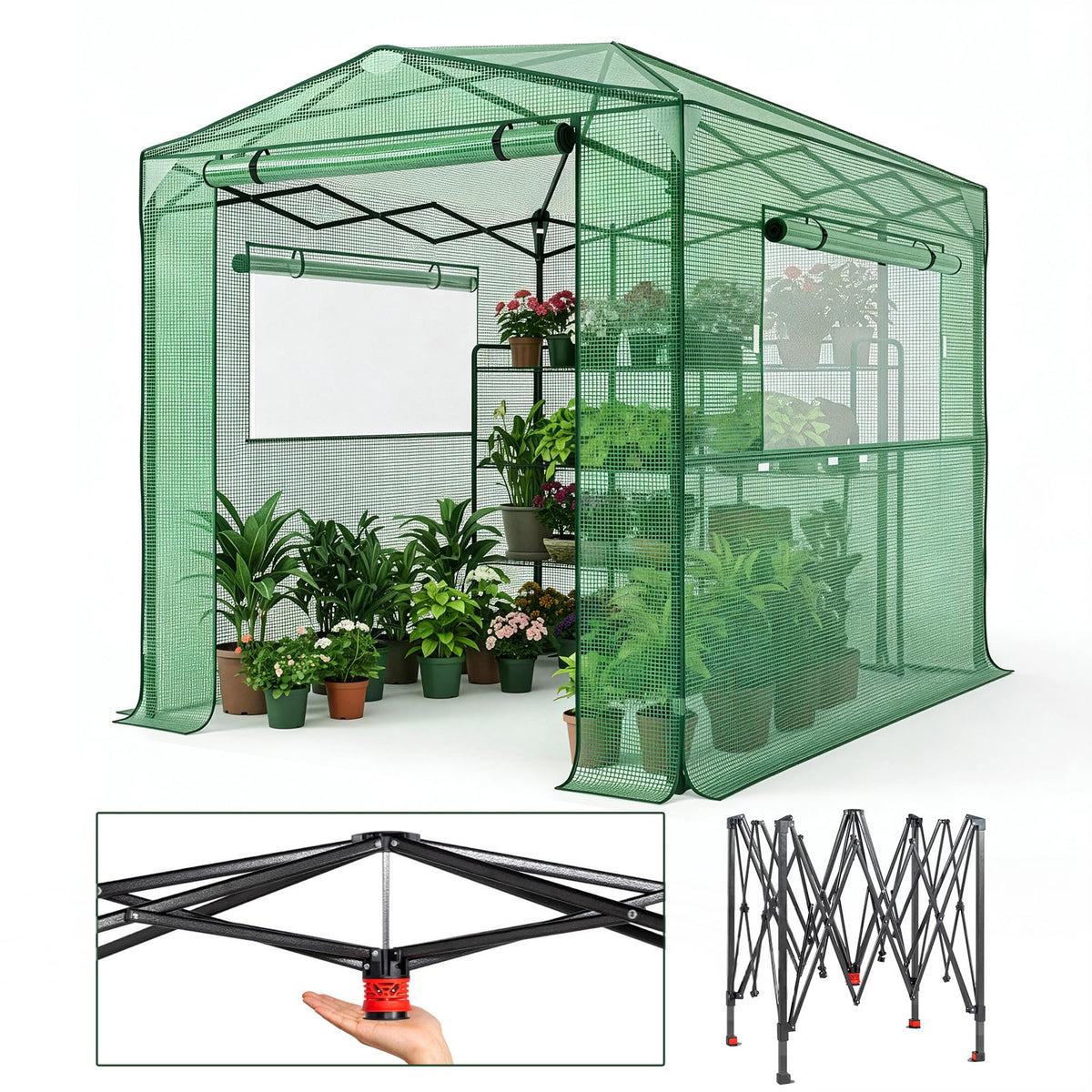 Outvita 6x8ft Greenhouse, Instant Walk-in Pop Up Tent Greenhouse for Indoor Outdoor Gardening Easy Setup Shelter with Roll-up Zipper Entry Doors and Windows