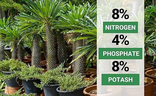8-4-8 Professional Palm Tree Fertilizer Plant Food; for Indoor Potted Plants and Outdoor Landscape Palm Trees; Quick-Release Nitrogen Fertilizer and Continuous Feeding (5 QUARTS)
