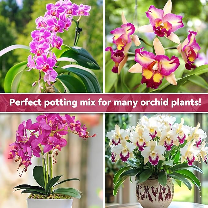 Riare 1QT Orchid Potting Mix for Repotting- Orchid Repotting Kit Include Moss, Pine Bark, Perlite, Coco Peat- Premium Orchid Soil Medium for Indoor Potted Plants Root Ventilation & Expanding