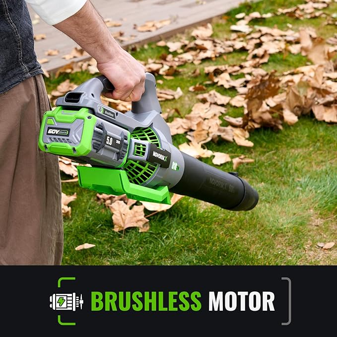 Electric Leaf Blower, 810 CFM Variable-Speed, 60-Volt Lithium-ion Cordless Leaf Blower with 5.0Ah Battery and Charger Included, Powerful for Yard Cleaning