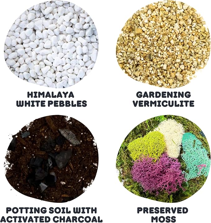Cute Farms Terrarium Starter Kit | Moss, Vermiculite, Soil, Pebbles, Plant Food, & Finishing Tools (Large Kit + Crystals)