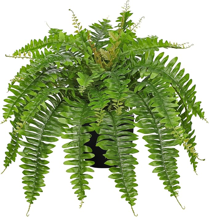 Hollyone Artificial Fern Plants in Pot 25.5" Artificial Boston Fern 31 Leaves for Outdoors & Indoor Faux Potted Plant Fake Ferns Bush Plant for Patio Garden Farmhouse Porch Home Decor Green