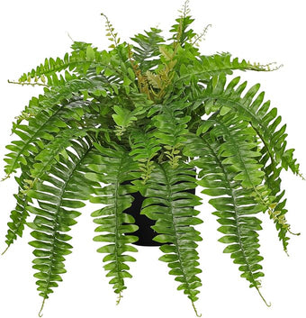 Hollyone Artificial Fern Plants in Pot 25.5" Artificial Boston Fern 31 Leaves for Outdoors & Indoor Faux Potted Plant Fake Ferns Bush Plant for Patio Garden Farmhouse Porch Home Decor Green