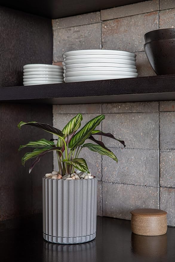Veradek Demi Series Demi 6" Planter w/Tray, Grey