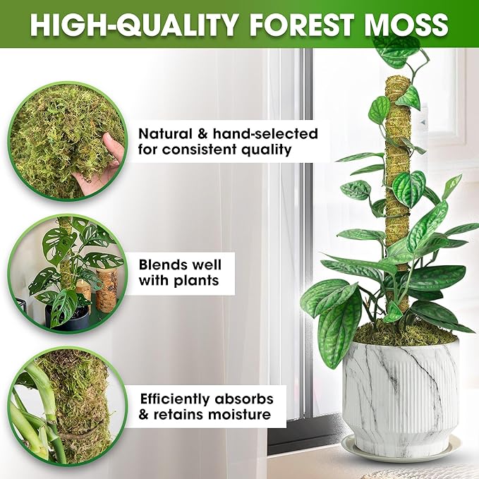 DUSPRO Natural Stackable Moss Pole for Plants Monstera, Forest Moss Sticks, Monstera Plant Support, Handmade Plant Stakes for Indoor Plants for Potted Plant to Grow Upward 02 pcs 22''