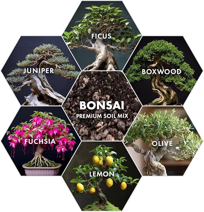 Premium Bonsai Soil Mix for Thriving Indoor Bonsai Trees - Perfect Potting Soil for All Bonsai Varieties - Organic Blend for Optimal Growth - Indoor Plant Soil - 4 Quarts