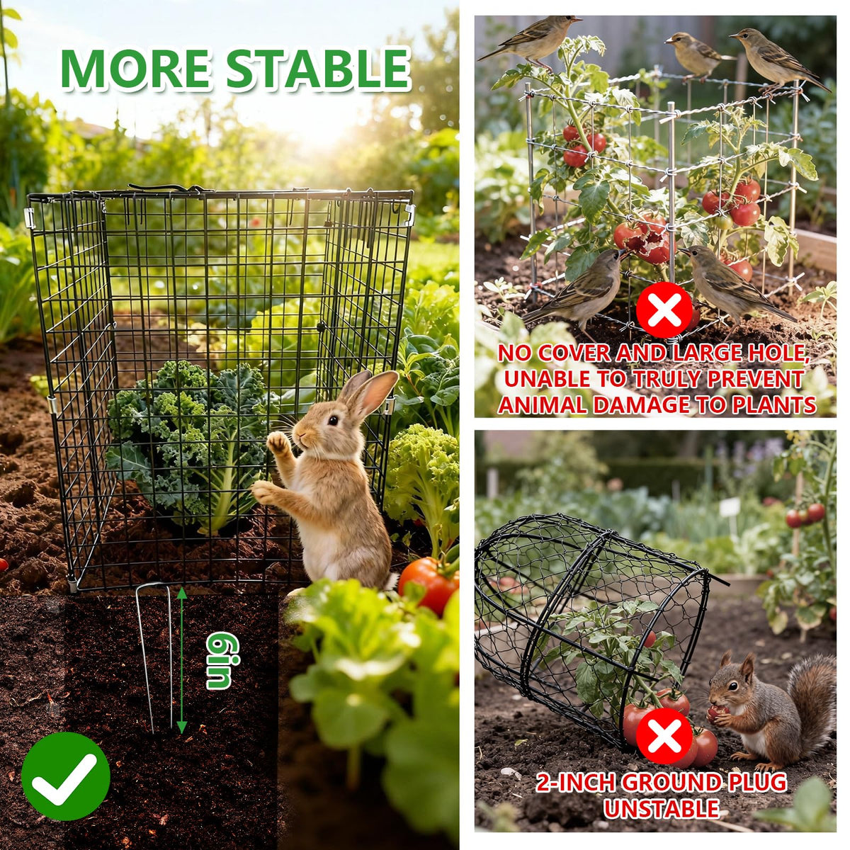 Metal Plant Cages for Outdoor Plants, Garden Cloches for Plants 4 Pack