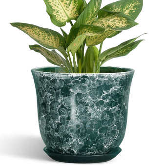 SUNPOTFOR Ceramic Pots for Plants, 5.6 Inch Planter Indoor, Green