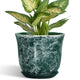 SUNPOTFOR Ceramic Pots for Plants, 5.6 Inch Planter Indoor, Green
