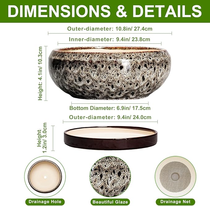 EPFamily Succulent Pots 10 Inch - Ceramic Bonsai Pots with Drainage Hole and Tray, Large Succulent Planters, Shallow Planter Indoor, Round Planter Bowl, Window Decor, Gifts for Plant Lovers, White
