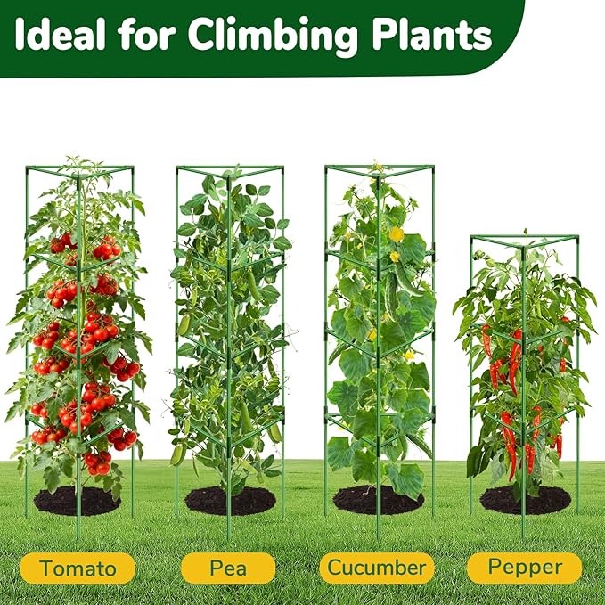 [Upgraded] ZeeDix 65 Inch Tall Tomato Cages for Garden, 6 Pack Large Plant Trellis Support Stakes for Climbing Plants, Heavy Duty Adjustable Tomatoes Cage for Pots, Raised Garden Bed Outdoor Supplies