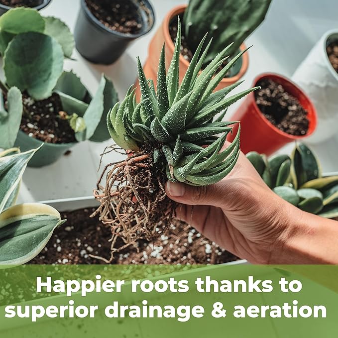 All Natural Succulent and Cactus Soil Mix by Perfect Plants | Made in The USA | 4 Quarts for All Succulent Varieties | Formulated for Proper Drainage