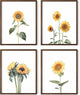 HAUS AND HUES Sunflower Set Collage 16x20 - Framed Walnut