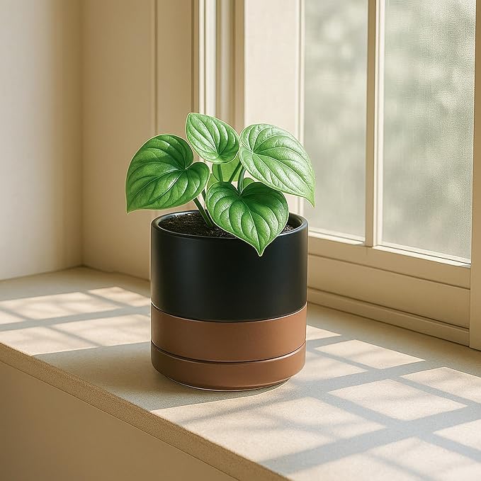 D'vine Dev 4.7 Inch Ceramic Planter Pot with Drainage Hole and Saucer, Indoor Cylinder Round Planter Pot, Black/Speckled Tan, 94-O-B-7