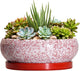 EPFamily Succulent Pots - 8 Inch Bonsai Pots for Indoor Outdoor, Shallow Ceramic Planter with Drainage Hole and Saucer, Round Flower Succulent Planters, Room Decor, Gifts for Plant Lovers, Red