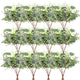 ZeKonan 120pcs Artificial Silver Dollar Eucalyptus Stems Bulk Fake Branches