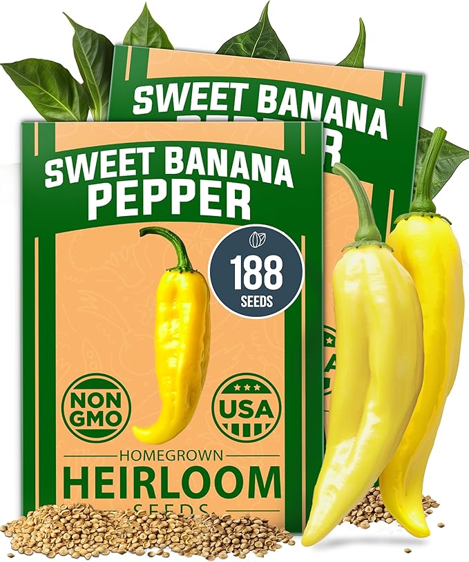 HOME GROWN Banana Pepper Seeds 2 Pack (Capsicum annuum) – 188 Heirloom Seeds, High Germination Vegetable Seeds – Growing Sweet Banana Peppers Indoors or Garden