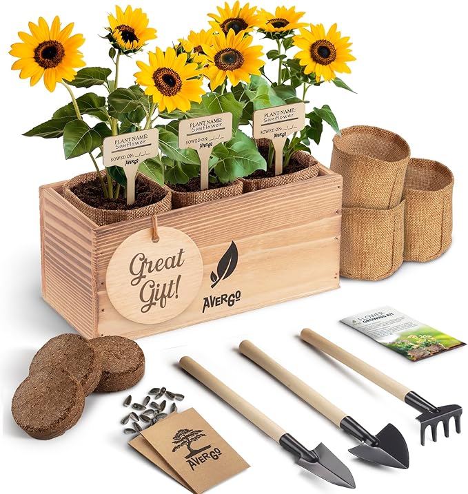 AVERGO Sunflower Seeds Growing Kit – Complete Seed and Plant Indoor & Outdoor Kit with Sunflower Seeds for Planting, Planter, Soil, Tools, Instructions – Ideal for Planting Sun Flowers at Home