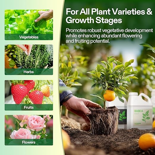 VIVOSUN Liquid Nutrients Base A & B Bundle, Grow Big Hydroponic Fertilizer, Supports Vegetative and Flowering Stages for Outdoor, Indoor Plants, Best Plant Food, Set of 1 Gallon