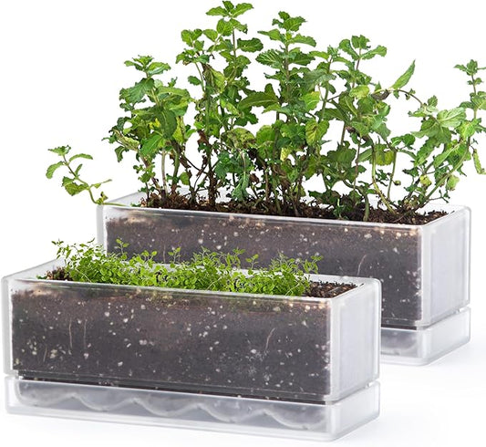 D'vine Dev 12 Inch Window Box Planter, Rectangle Plastic Herb Planter with Drainage Holes and Saucer, Indoor Succulent Cactus Vegetable Pot for Windowsill, Garden Balcony, Clear, Set of 2, 76-X-D-2