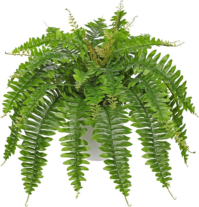 Hollyone Artificial Fern Plants in White Pot 25.5" Medium Artificial Boston Fern 31 Leaves for Outdoors & Indoor Faux Potted Plants Fake Ferns Bush Plant Patio Garden Farmhouse Porch Home Decor Green