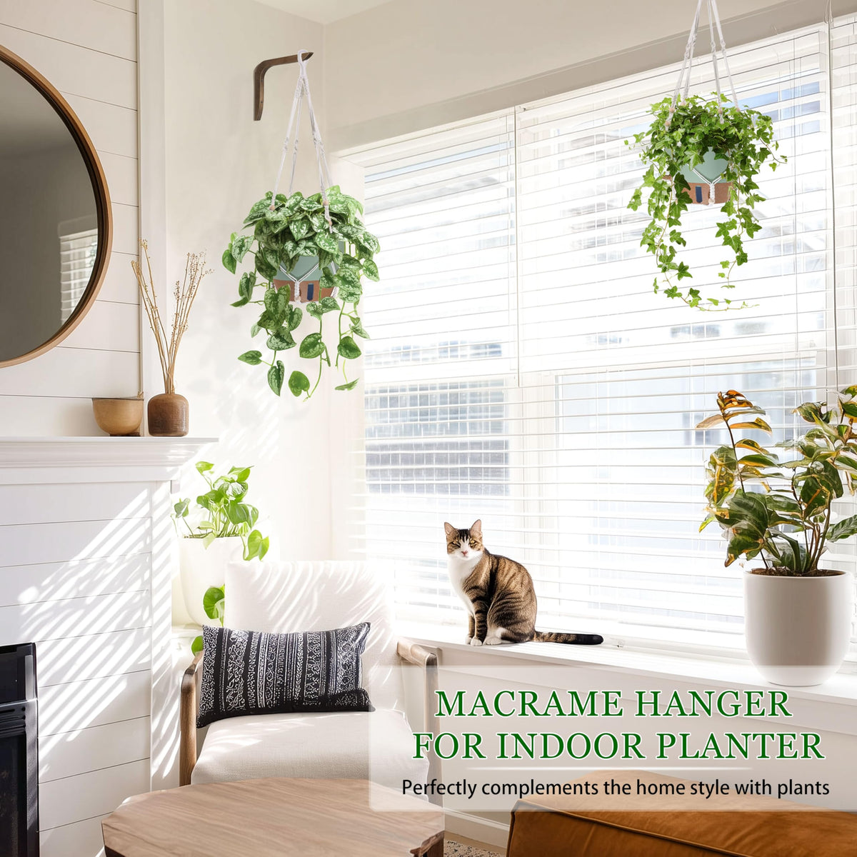 Fielda 10 Inch Hanging Planters for Indoor Plants, 2 Pack, Self Watering