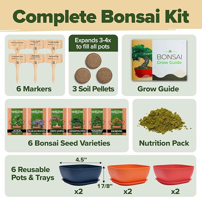 HOME GROWN Bonsai Tree Kit – 6 Heirloom Varieties with Unique Pots – DIY Bonsai Starter Kit for Adults & Beginners – Christmas Gift for Men Women Gardeners Plant Lovers – Indoor Growing Kit