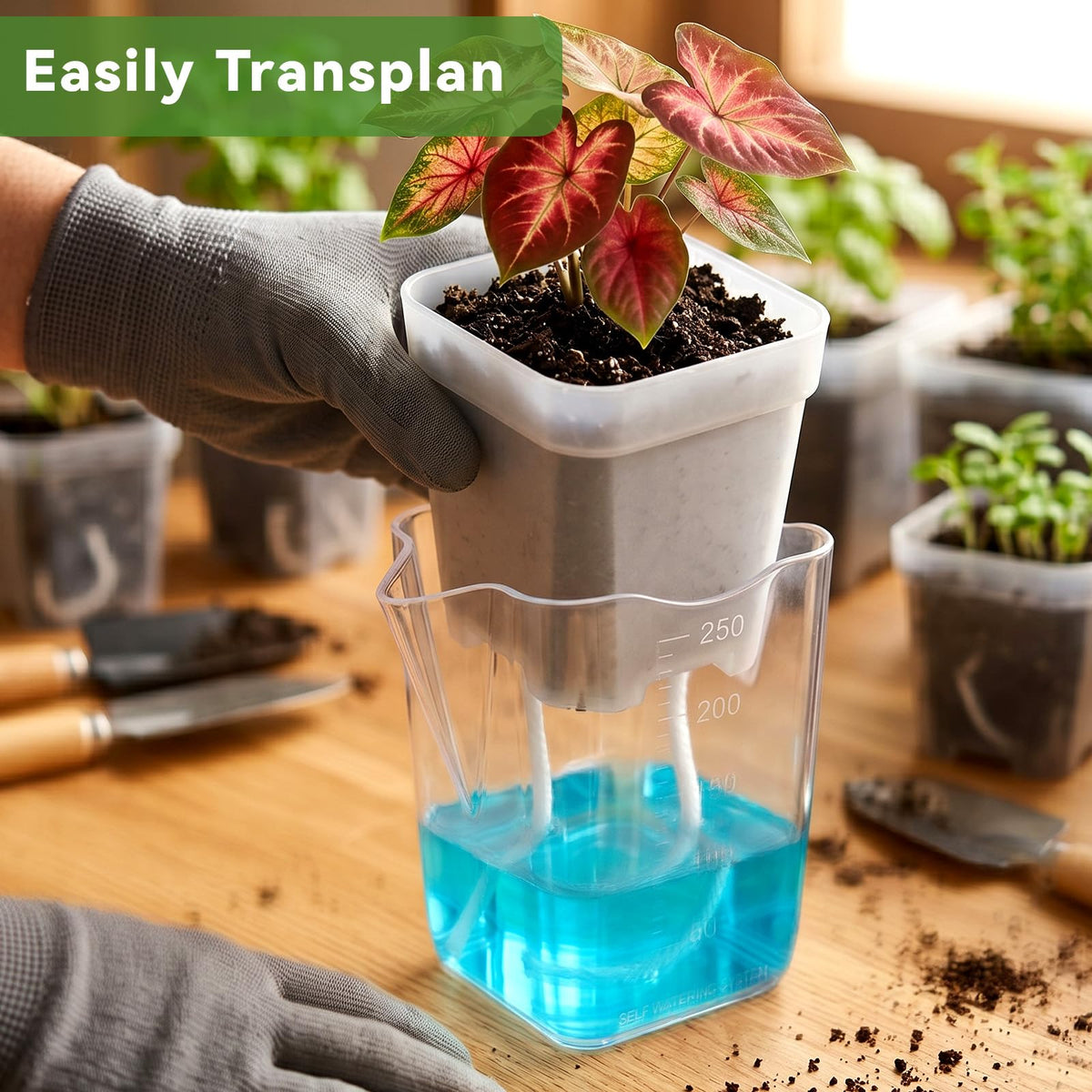 MySHUCE 20 Pack 2.5 Inch Small Self Watering Pots for Indoor Plants