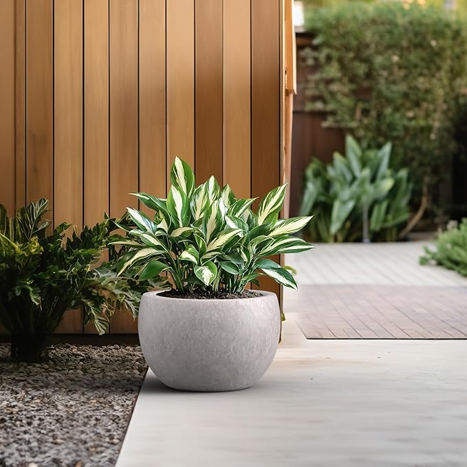 Kante 15.7" Dia Round Concrete Planter, Outdoor/Indoor Large Bowl Plant Pots with Drainage Hole and Rubber Plug for Garden Patio Balcony Home, Light Gray