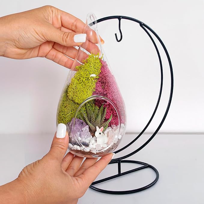 Creations by Nathalie - Plant Terrarium Kit W/Live Succulent (Fresh from Florida), Choose Your Glass DIY Terrarium Starter Kit for Adults, Metal Stand, Reindeer Moss, Crystal & Rocks, Tools, Figurine