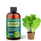 𝐏𝐑𝐄𝐌𝐈𝐔𝐌 Liquid Silica Plant Supplement - 8oz (250mL) - Lettuce Plants Liquid Silica Boost Fertilizer - Stronger Stems & Healthy Leaves for Indoor & Outdoor Lettuce Plants (Makes 45 Gallons)